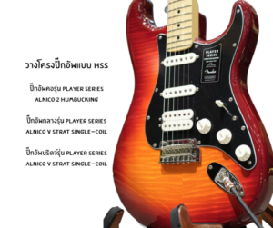 กีตาร์ไฟฟ้า Fender Player Strat HSS Strat Plus Top วางโครงปิ๊กอัพแบบ HSS