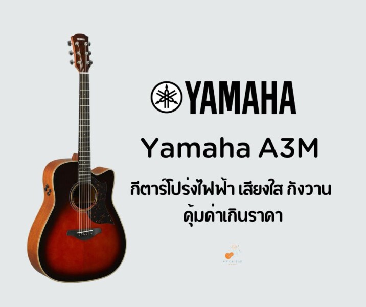 กีต้าร์ Yamaha A3M กีตาร์โปร่งไฟฟ้า เสียงใส กังวาน คุ้มค่าเกินราคา