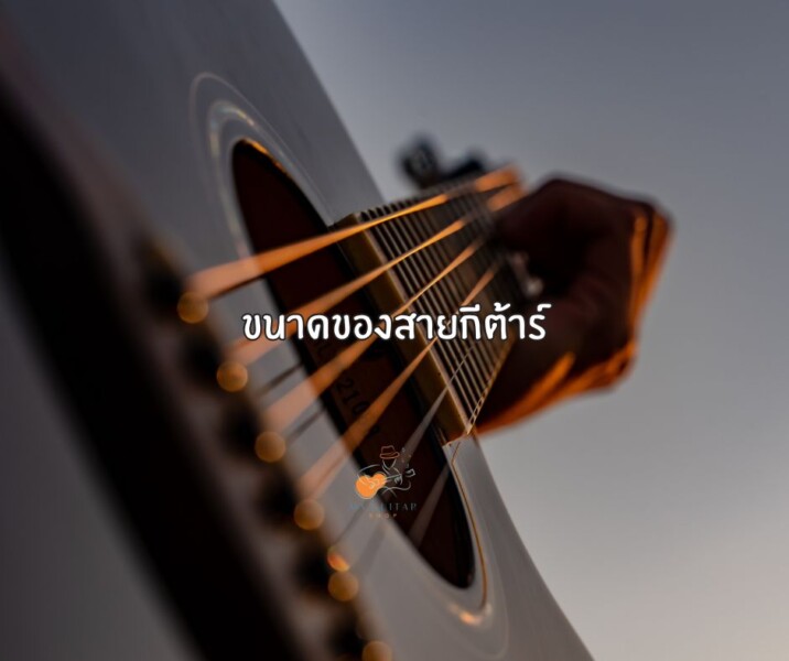 ขนาดของสายกีต้าร์