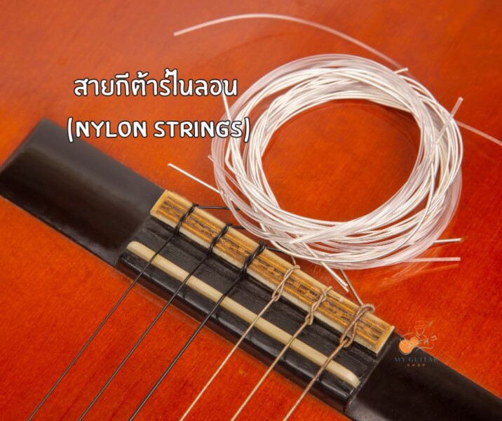 สายกีต้าร์ไนลอน Nylon Strings