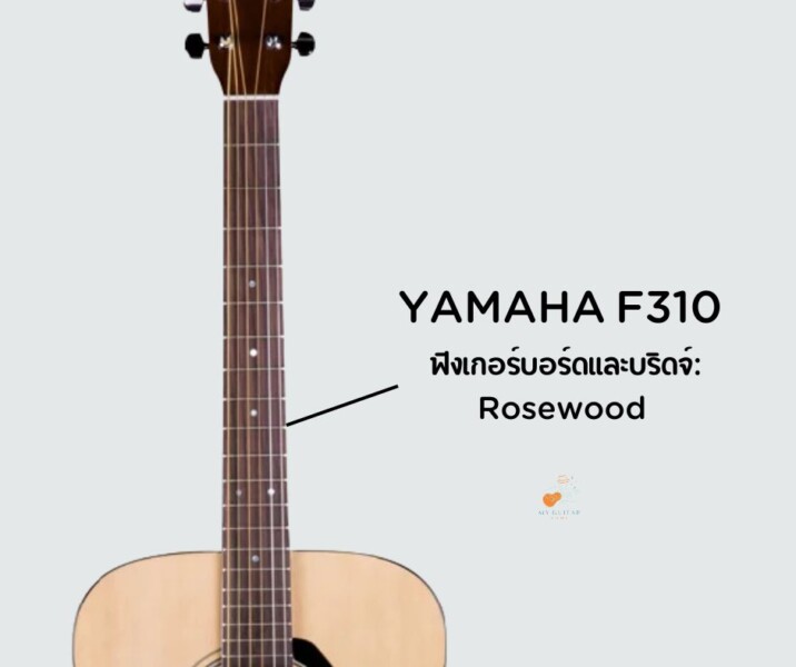 สเปค กีต้าร์ Yamaha F310 ราชินีแห่งกีต้าร์เริ่มต้น 5